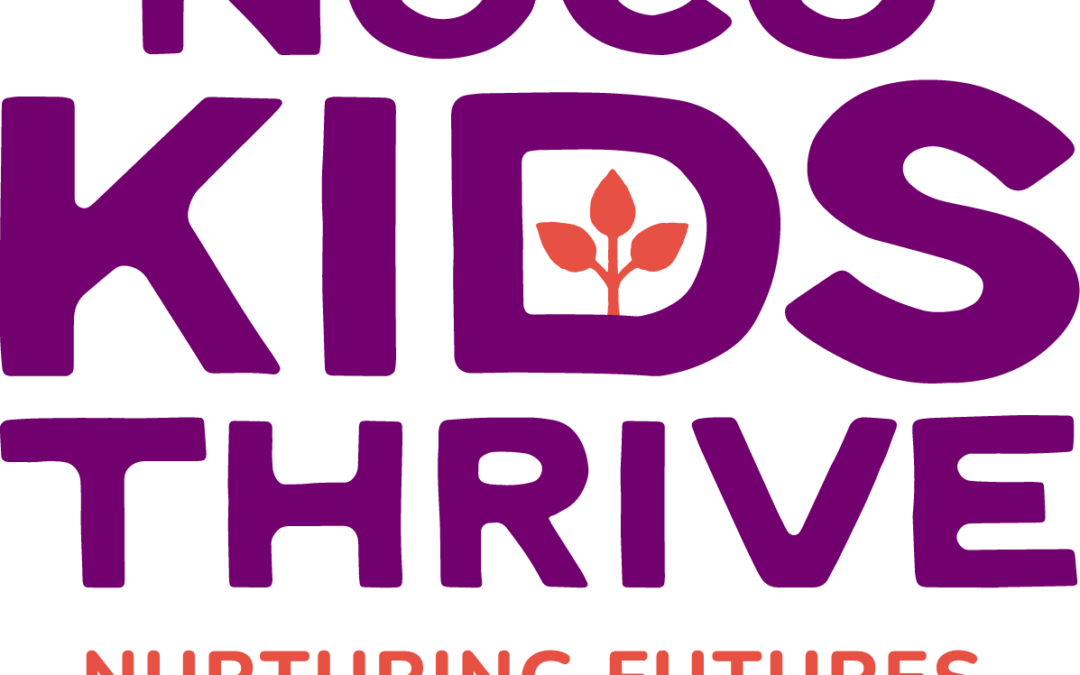 Larimer County’s new child care tax: How $3 million will be spent in 2026