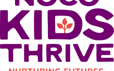 Larimer County’s new child care tax: How $3 million will be spent in 2026